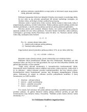 Reklamos organizavimas 10 puslapis