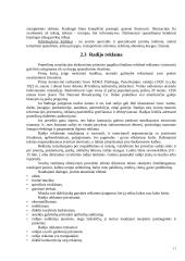 Reklamos priemonių analizė: AB "Kalnapilis" 10 puslapis