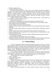 Reklamos priemonių analizė: AB "Kalnapilis" 13 puslapis