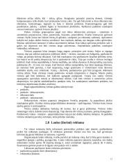 Reklamos priemonių analizė: AB "Kalnapilis" 14 puslapis