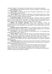 Reklamos priemonių analizė: AB "Kalnapilis" 20 puslapis