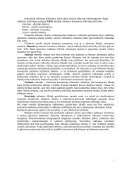 Reklamos priemonių analizė: AB "Kalnapilis" 6 puslapis