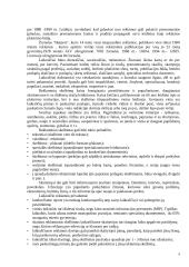 Reklamos priemonių analizė: AB "Kalnapilis" 8 puslapis