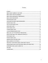 Reklamos skelbimo paruošimas 2 puslapis