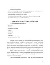 Reklamos skelbimo paruošimas 12 puslapis