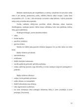 Reklamos skelbimo paruošimas 14 puslapis