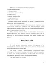 Reklamos skelbimo paruošimas 17 puslapis