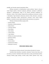 Reklamos skelbimo paruošimas 9 puslapis