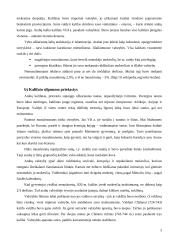 Rekreacijos ir kelionių istorinė raida arabiškajame pasaulyje 3 puslapis