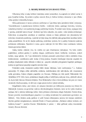 Rekreacijos ir kelionių istorinė raida arabiškajame pasaulyje 5 puslapis