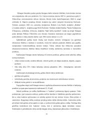 Rekreacijos ir turizmo administravimas Palangoje 12 puslapis