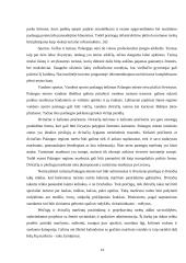 Rekreacijos ir turizmo administravimas Palangoje 14 puslapis