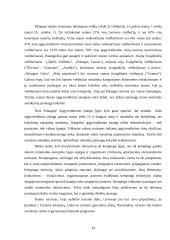 Rekreacijos ir turizmo administravimas Palangoje 19 puslapis