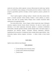 Rekreacijos ir turizmo administravimas Palangoje 4 puslapis