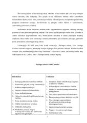 Rekreacijos ir turizmo administravimas Palangoje 7 puslapis