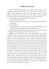 Religijos samprata sociologijoje 10 puslapis