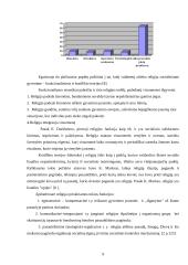 Religijos samprata sociologijoje 8 puslapis