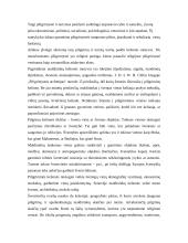 Religinis - piligriminis turizmas 4 puslapis