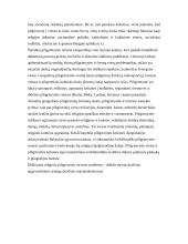 Religinis - piligriminis turizmas 5 puslapis