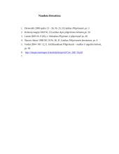 Religinis - piligriminis turizmas 6 puslapis