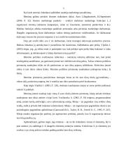 Rėmimo politika įmonėje 5 puslapis