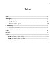 Renesanso estetikos bruožai 2 puslapis