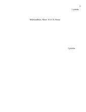 Renesanso estetikos bruožai 13 puslapis