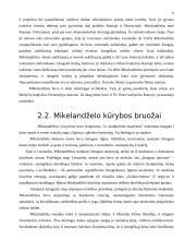 Renesanso estetikos bruožai 8 puslapis