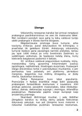 Renesanso šokio menas 2 puslapis