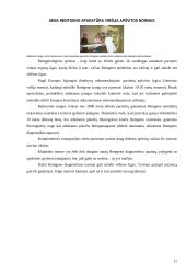 Rentgeno spindulių savybės bei jų panaudojimas 10 puslapis