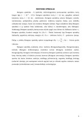 Rentgeno spindulių savybės bei jų panaudojimas 5 puslapis