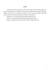 Rezervo ir karjeros planavimas 3 puslapis