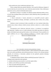 Rezervo ir karjeros planavimas 5 puslapis