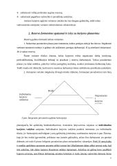 Rezervo ir karjeros planavimas 6 puslapis
