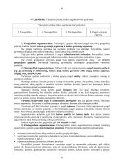 Rinkos samprata ir analizė 4 puslapis