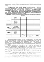 Rinkos samprata ir analizė 5 puslapis