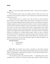 Rinka ir jos atsiradimas 2 puslapis