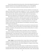 Rinka ir jos atsiradimas 12 puslapis