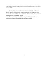 Rinka ir jos atsiradimas 13 puslapis