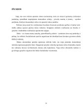 Rinka ir jos atsiradimas 14 puslapis