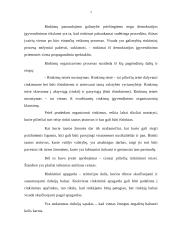 Rinkimų organizavimas 2 puslapis