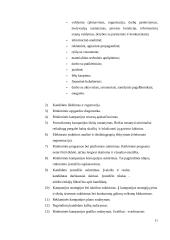 Rinkimai. Rinkimų mechanizmas. Rinkimų cenzas. Rinkiminė kampanija 11 puslapis