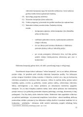 Rinkimai. Rinkimų mechanizmas. Rinkimų cenzas. Rinkiminė kampanija 12 puslapis