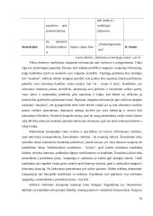 Rinkimai. Rinkimų mechanizmas. Rinkimų cenzas. Rinkiminė kampanija 16 puslapis