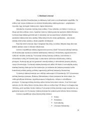 Rinkimai. Rinkimų mechanizmas. Rinkimų cenzas. Rinkiminė kampanija 19 puslapis