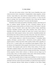 Rinkimai. Rinkimų mechanizmas. Rinkimų cenzas. Rinkiminė kampanija 20 puslapis