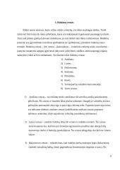 Rinkimai. Rinkimų mechanizmas. Rinkimų cenzas. Rinkiminė kampanija 8 puslapis