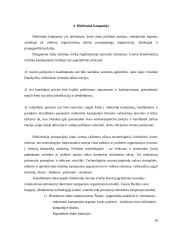 Rinkimai. Rinkimų mechanizmas. Rinkimų cenzas. Rinkiminė kampanija 10 puslapis