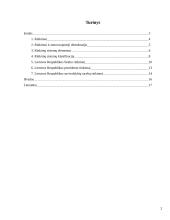 Rinkimai. Rinkimų sistemos Lietuvoje 2 puslapis