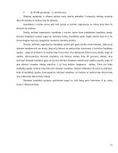 Rinkimai. Rinkimų sistemos Lietuvoje 15 puslapis